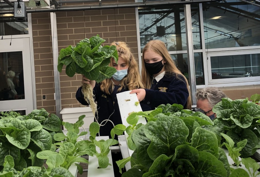 Penn Manor Future Farmers of America students show off hydroponic lettuces they are growing as part of their school curriculum during a visit by state officials on Wednesday, May 12, 2021. (Photo: Emily Ritchey)