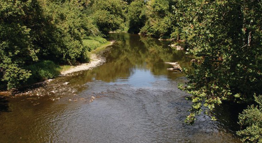 Octoraro Creek. (Source: Lancaster Conservancy)